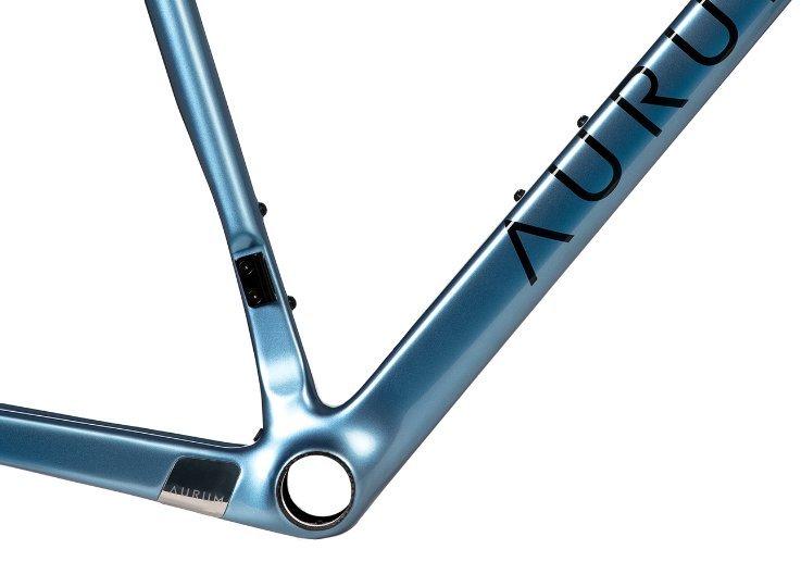 Bicicleta Aurum Magma Custom