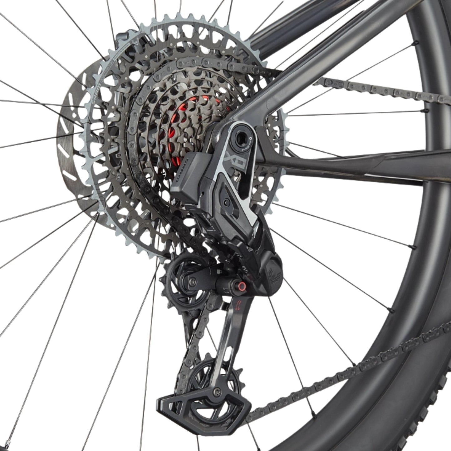 Bicicleta Cannondale Scalpel Carbon 1 Lefty Raw