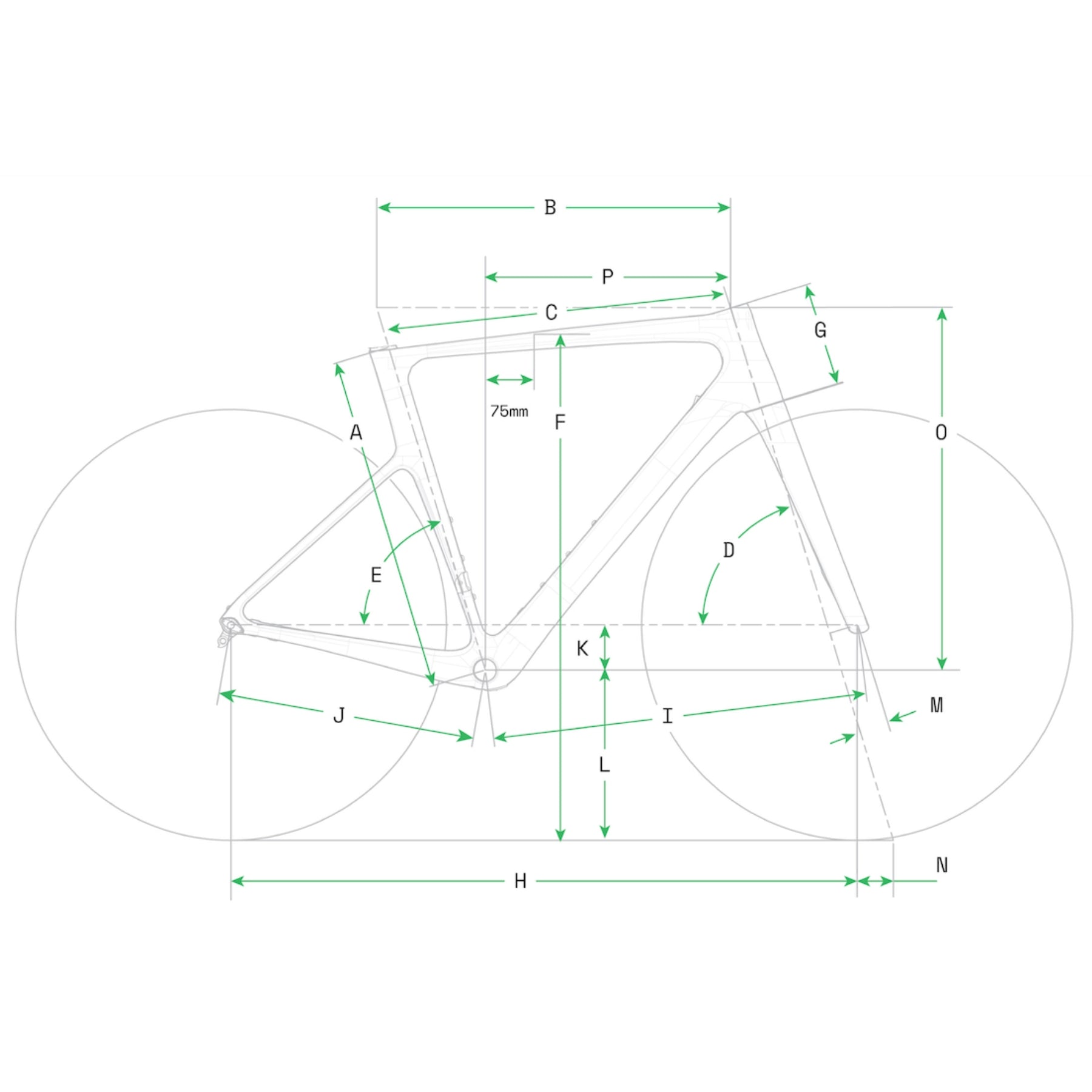 Cannondale Supersix Evo Carbon 2 2024 Geometria