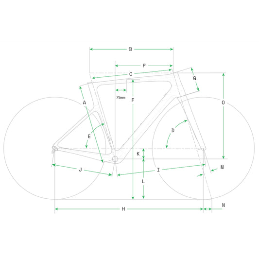 Cannondale Supersix Evo Carbon 2 2024 Geometria