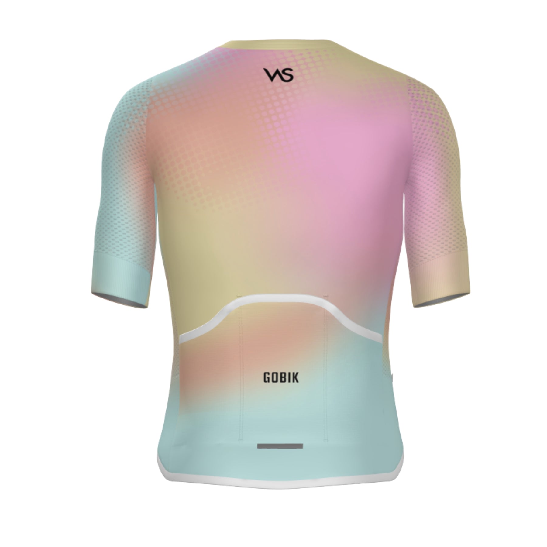Maillot Corto Gobik Carrera 2.0 VAS Spring Collection Back