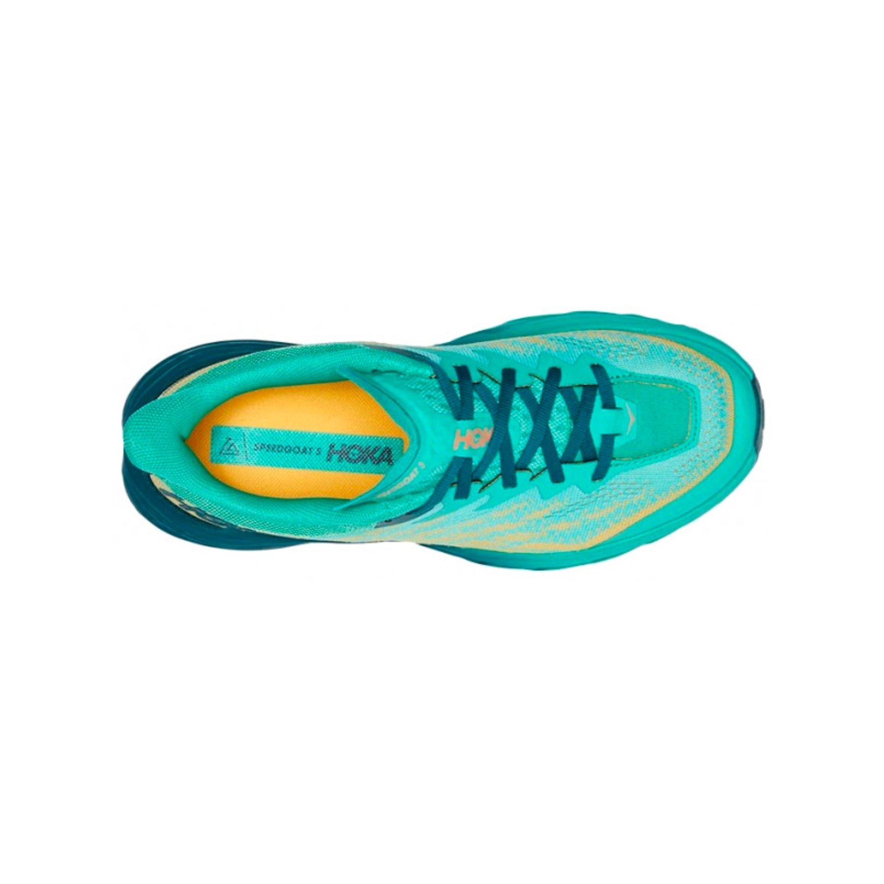 W Speedgoat 5 Deep Teal-Water DTW