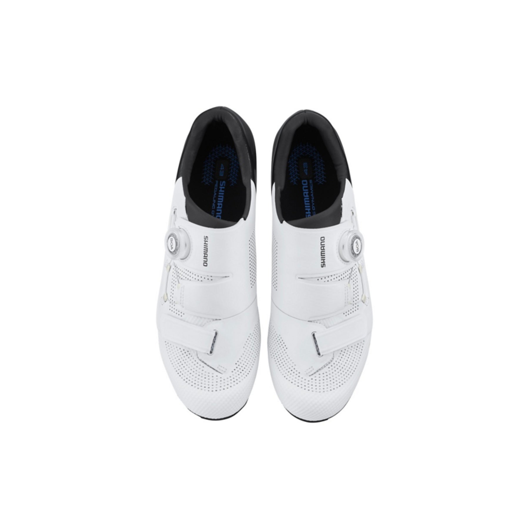 Zapatillas Shimano Rc502-White