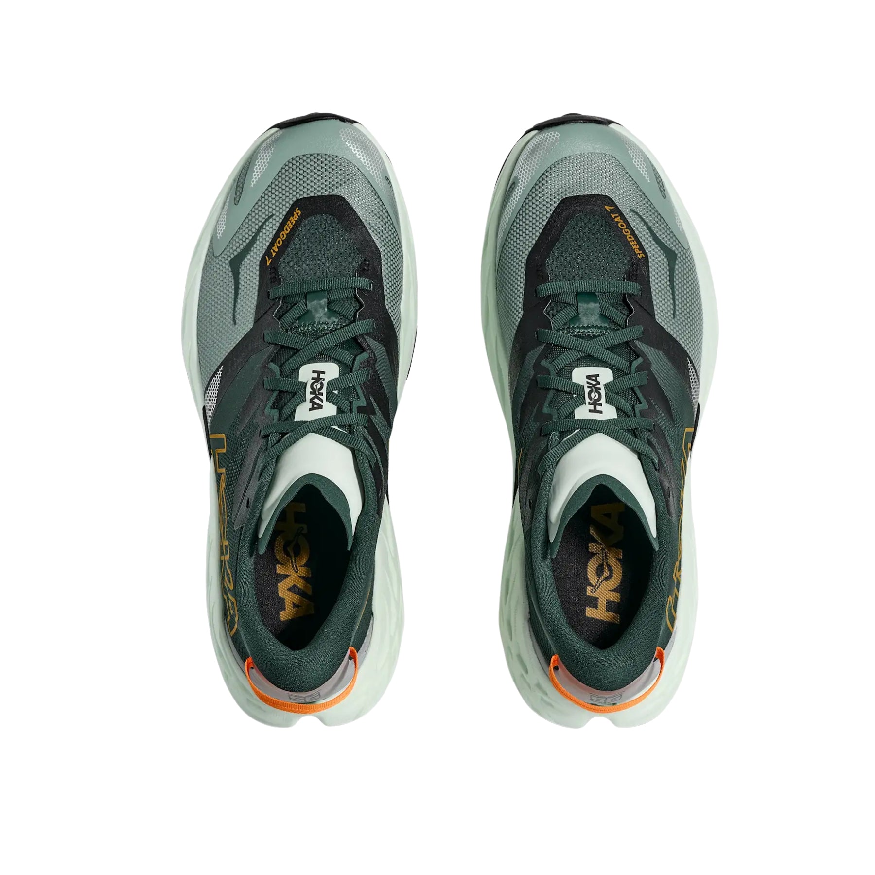 Zapatillas Hoka Speedgoat 7  Bay Leaf / Sea Glass BFS 