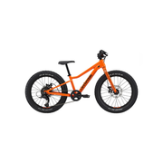 Bicicleta Cannondale Kids Trail Plus 20