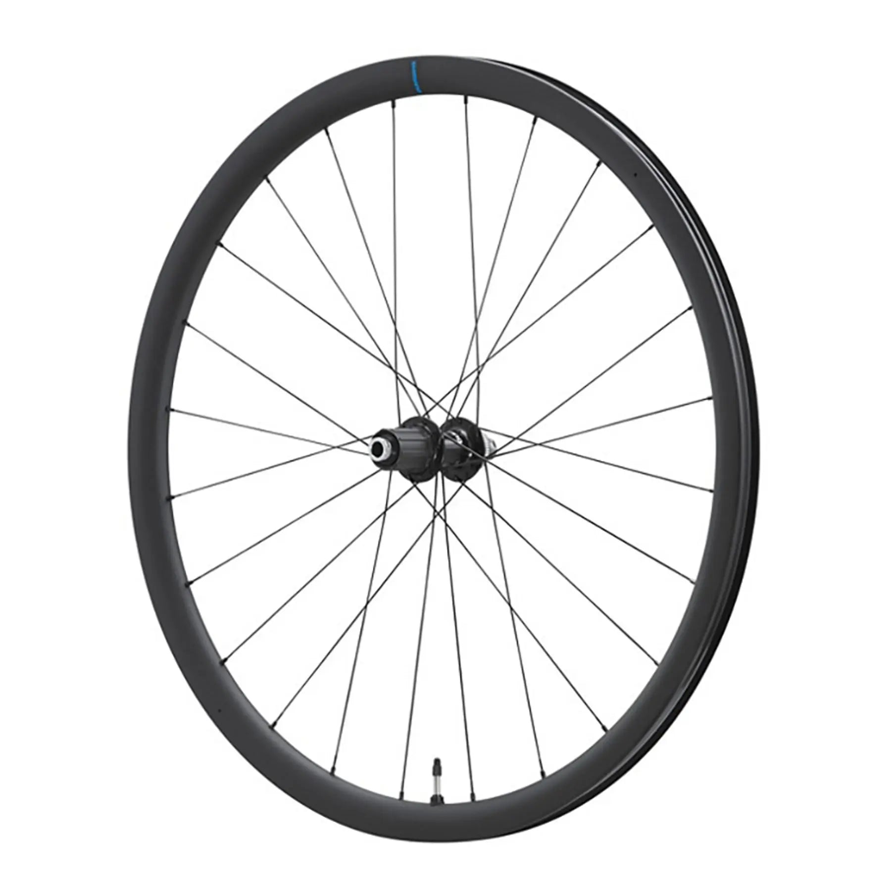 Rueda trasera frenada bici discount